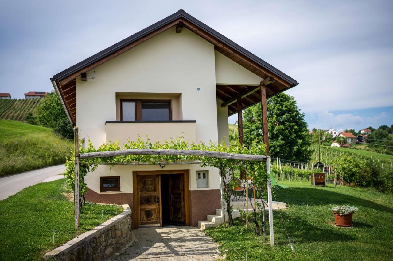 Holiday House Zlacka Gorca Pristava pri Mestinju Ngoại thất bức ảnh