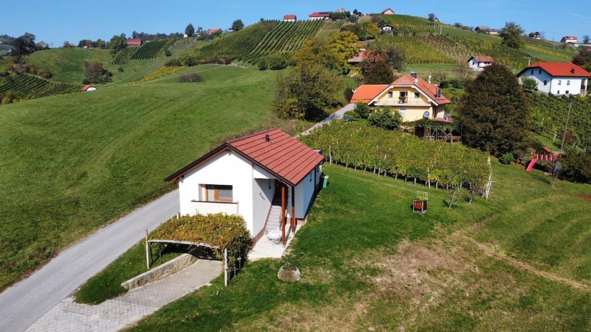 Holiday House Zlacka Gorca Pristava pri Mestinju Ngoại thất bức ảnh