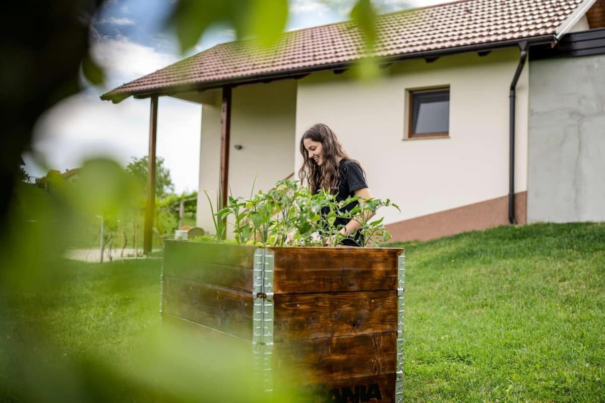 Holiday House Zlacka Gorca Pristava pri Mestinju Ngoại thất bức ảnh